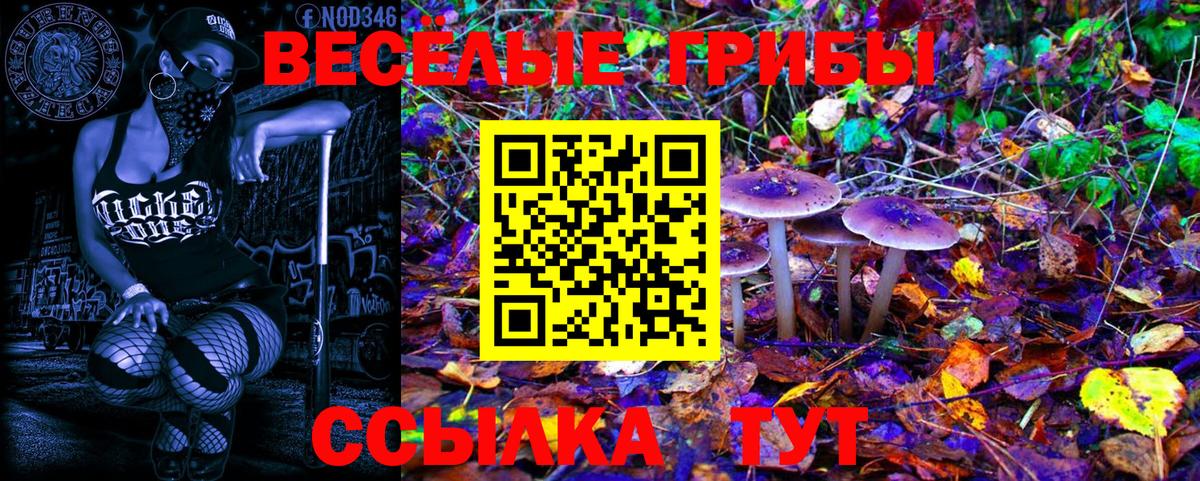 Псилоцибиновые грибы GOLDEN TEACHER  Галлюциногенные грибы мухоморы  Майкоп  Вход с VPN 