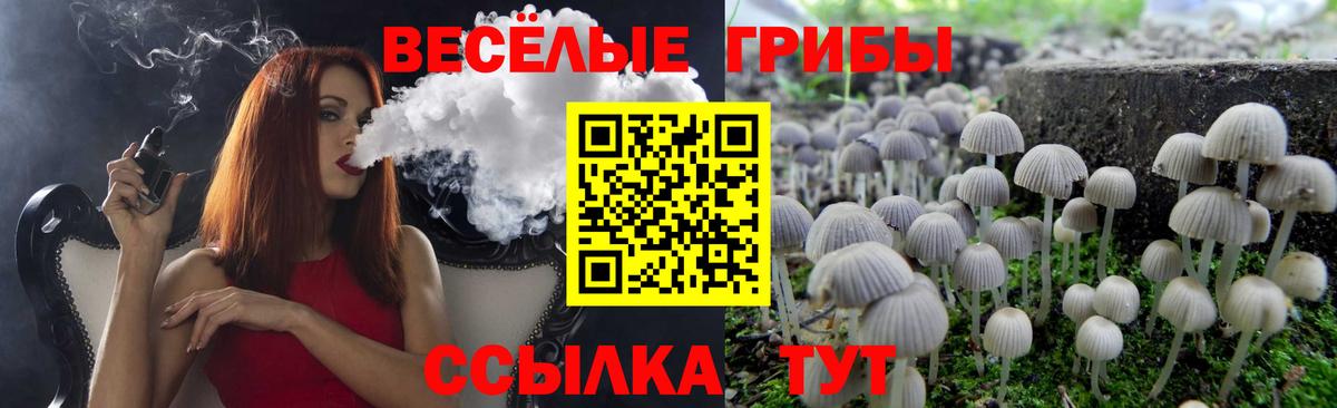 Псилоцибиновые грибы мухоморы Майкоп