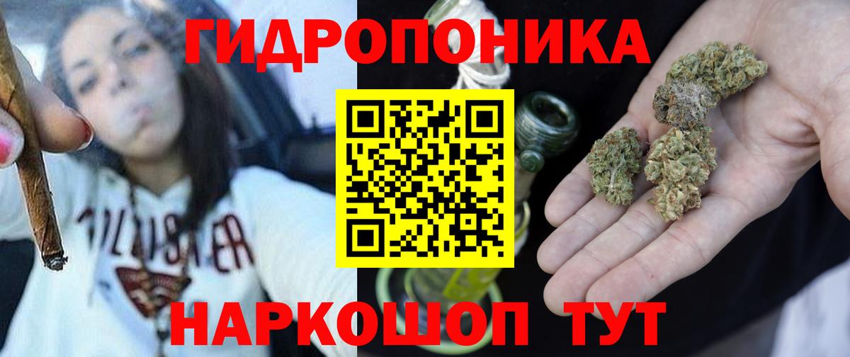 Конопля семена Майкоп